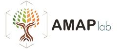 AMAP lab
