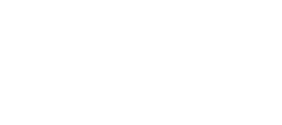 Surdex